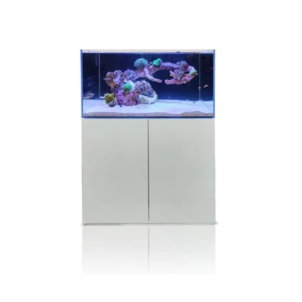 Blau Gran Cubic Super Reef 122 White 366 liters Saltvandsakvarium
